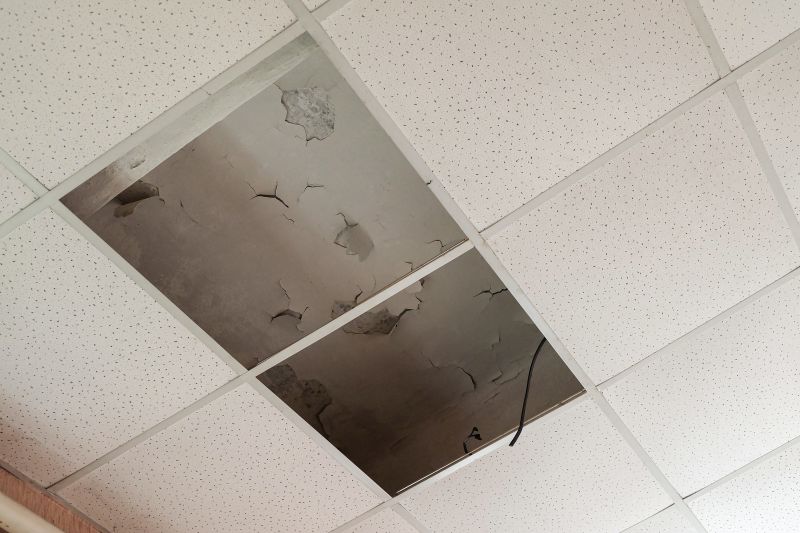 Drop Ceiling Grid Repair