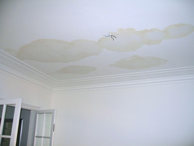 Damaged Ceiling Tiles