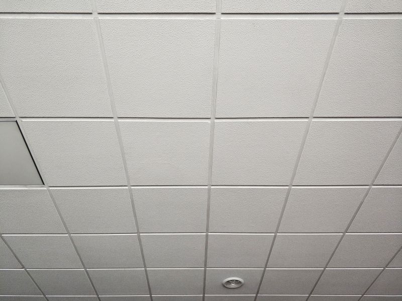 Completed Drop Ceiling Repair
